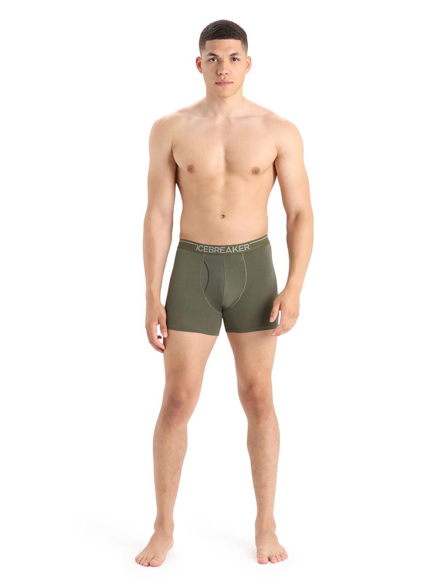 Loden Icebreaker Merino Anatomica Boxers With Fly Men's Underwear | AU 1305AHKP